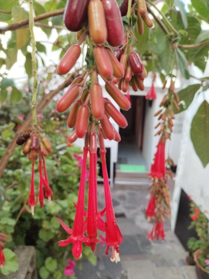 Cusco Vista Guest House 外观 照片