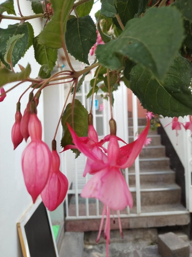 Cusco Vista Guest House 外观 照片