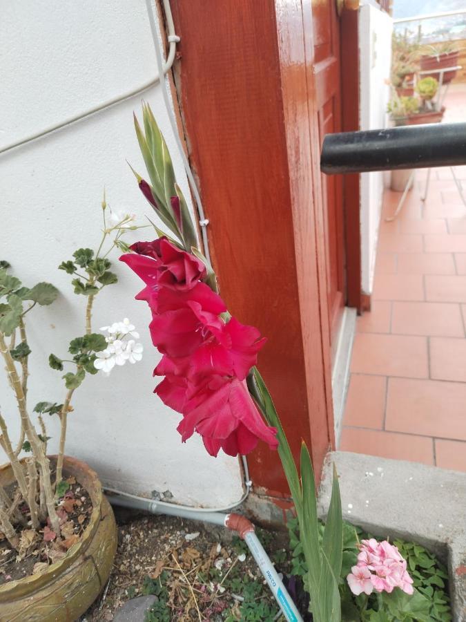 Cusco Vista Guest House 外观 照片